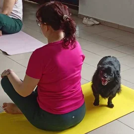 „Fordon w ruchu” – aktywne popołudnie w Centrum Wolontariatu „Gawędy 5”