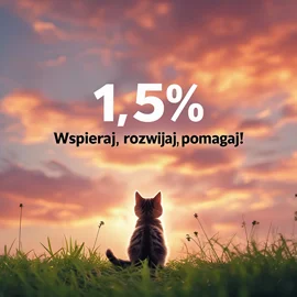 Wesprzyj Stowarzyszenie Edukacji Społecznej Elmago poprzez 1,5% podatku